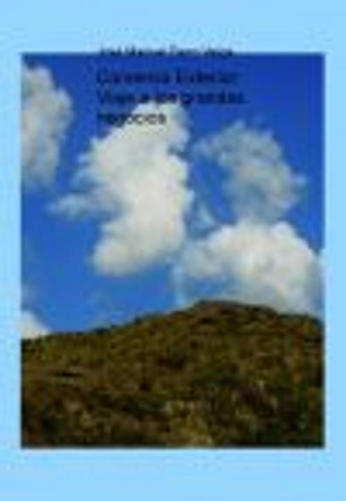 Cover of the book Comercio exterior by Jose Manuel Ferro Veiga, Jose Manuel Ferro Veiga