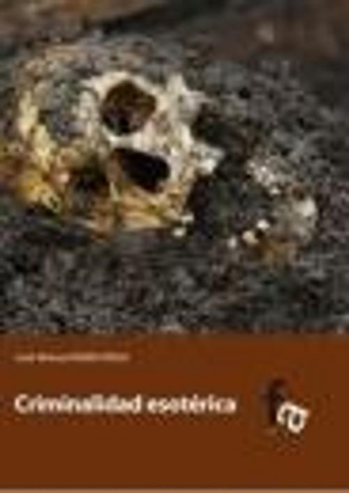 Cover of the book Criminalidad esotérica by Jose Manuel Ferro Veiga, Jose Manuel Ferro Veiga