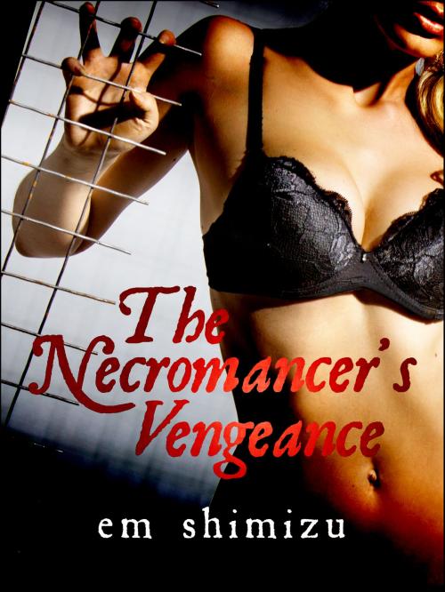 Cover of the book The Necromancer's Vengeance: an erotic dark fantasy short by Em Shimizu, Em Shimizu