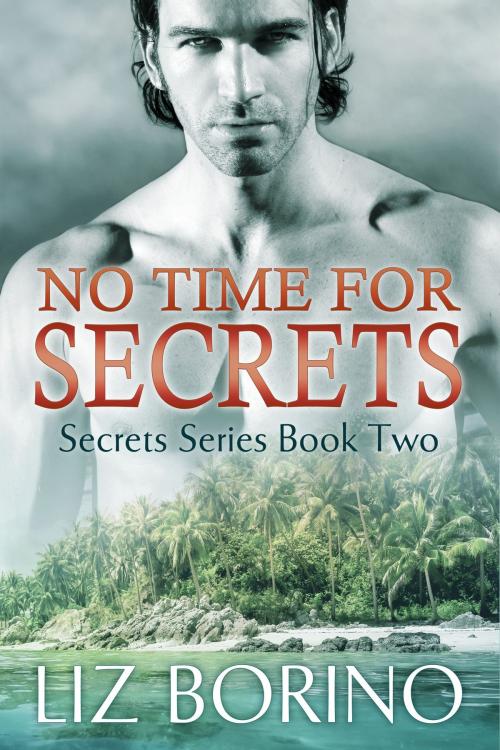 Cover of the book No Time for Secrets by Liz Borino, Liz Borino Publishing