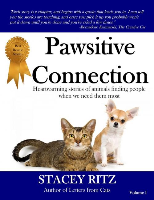 Cover of the book Pawsitive Connection by Stacey Ritz, Rockville Publishing