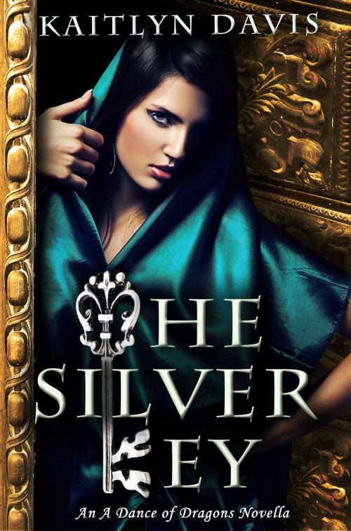 Cover of the book The Silver Key by Kaitlyn Davis, Kaitlyn Davis Mosca
