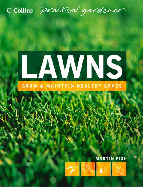 Cover of the book Lawns (Collins Practical Gardener) by Martin Fish, HarperCollins Publishers