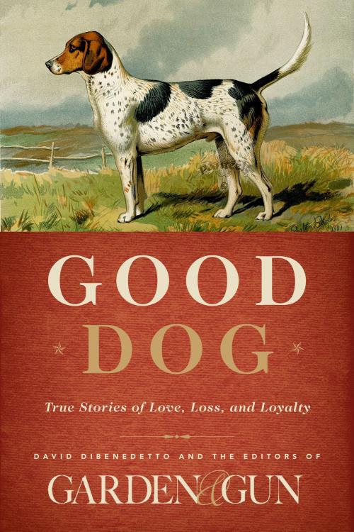 Cover of the book Good Dog by Editors of Garden and Gun, David DiBenedetto, Harper Wave