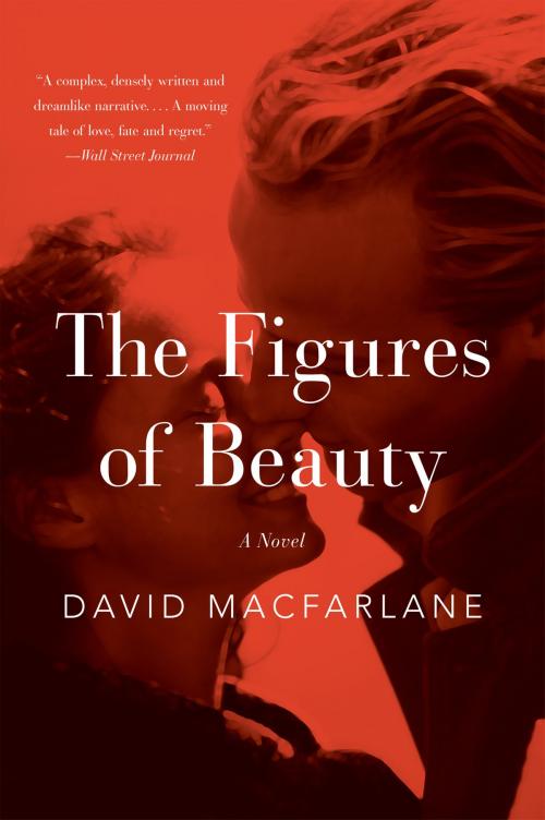 Cover of the book The Figures of Beauty by David Macfarlane, Harper