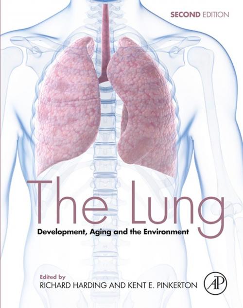 Cover of the book The Lung by , Elsevier Science