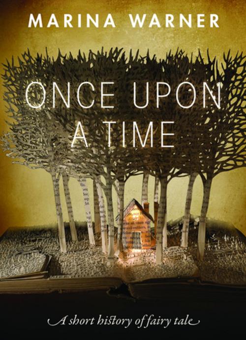 Cover of the book Once Upon a Time by Marina Warner, OUP Oxford