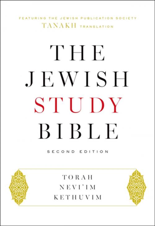 Cover of the book The Jewish Study Bible by , Oxford University Press