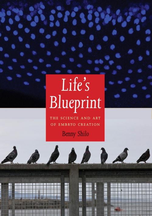 Cover of the book Life's Blueprint by Benny Shilo, Yale University Press