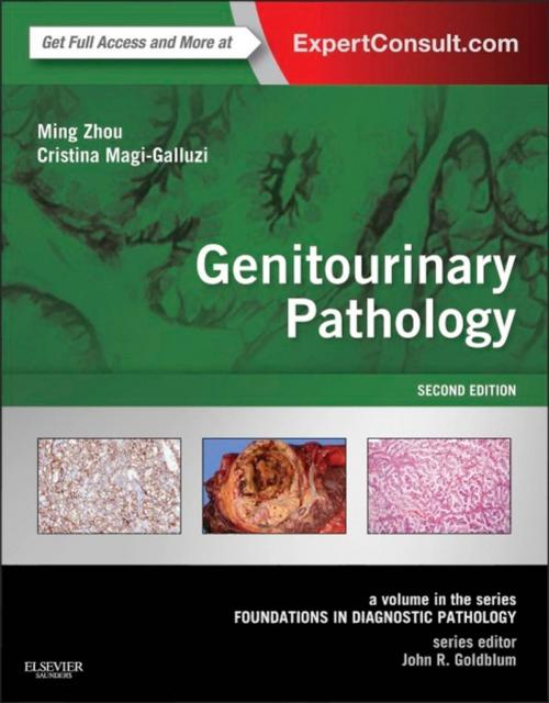 Cover of the book Genitourinary Pathology E-Book by Ming Zhou, MD, PhD, Cristina Magi-Galluzzi, MD, PhD, Elsevier Health Sciences