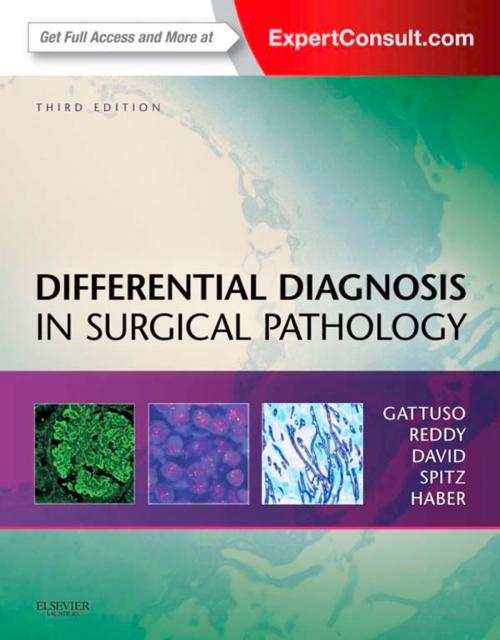 Cover of the book Differential Diagnosis in Surgical Pathology E-Book by Paolo Gattuso, MD, Vijaya B. Reddy, MD, MBA, Daniel J. Spitz, MD, Meryl H. Haber, MD, Odile David, MD, MPH, Elsevier Health Sciences
