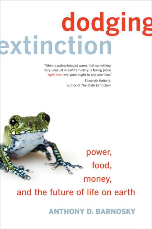 Cover of the book Dodging Extinction by Anthony D. Barnosky, University of California Press