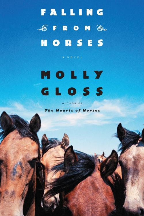 Cover of the book Falling From Horses by Molly Gloss, HMH Books