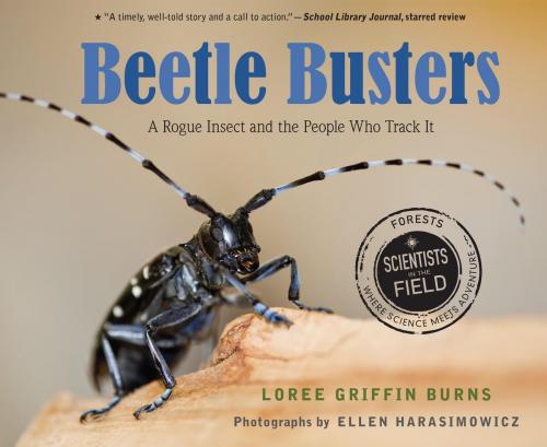 Cover of the book Beetle Busters by Loree Griffin Burns, HMH Books