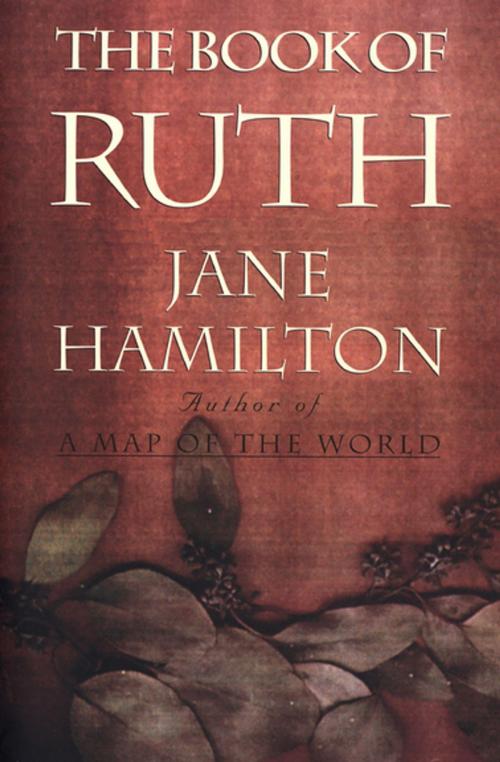 Cover of the book The Book of Ruth by Jane Hamilton, Houghton Mifflin Harcourt