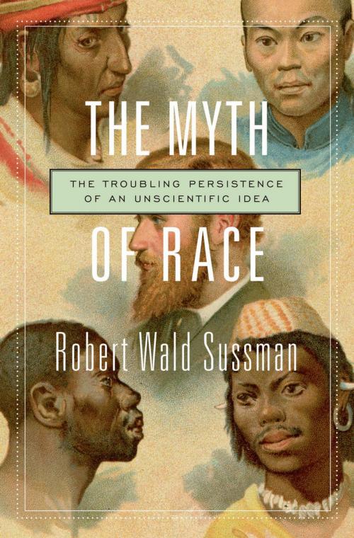 Cover of the book The Myth of Race by Robert Wald Sussman, Harvard University Press