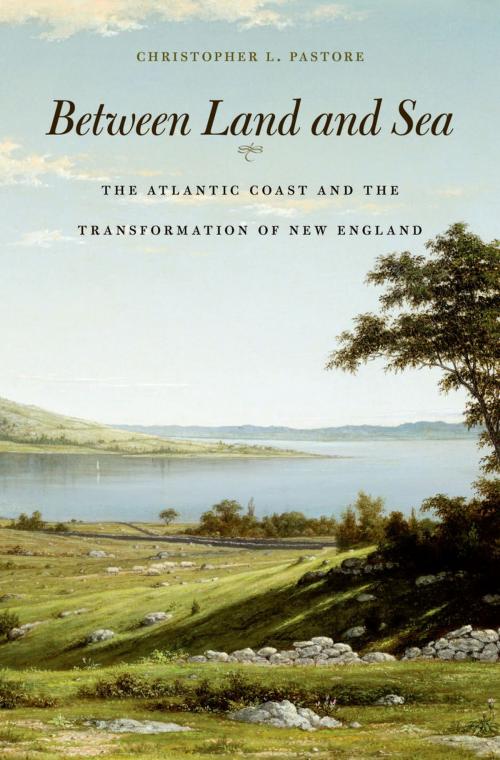 Cover of the book Between Land and Sea by Christopher L. Pastore, Harvard University Press
