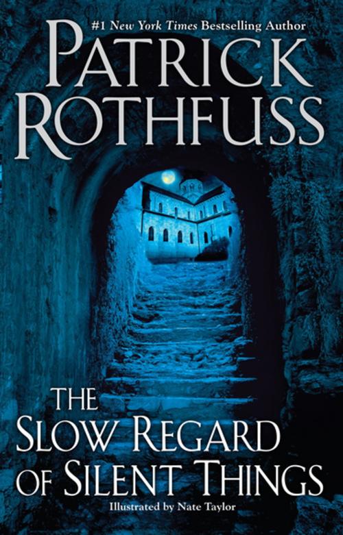 Cover of the book The Slow Regard of Silent Things by Patrick Rothfuss, DAW