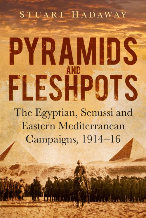 Cover of the book Pyramids and Fleshpots by Stuart Hadaway, The History Press
