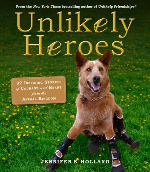 Cover of the book Unlikely Heroes by Jennifer S. Holland, Workman Publishing Company