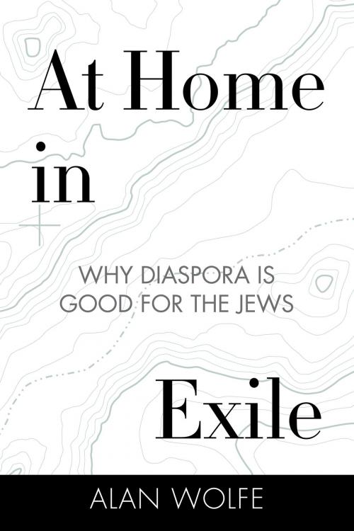 Cover of the book At Home in Exile by Alan Wolfe, Beacon Press