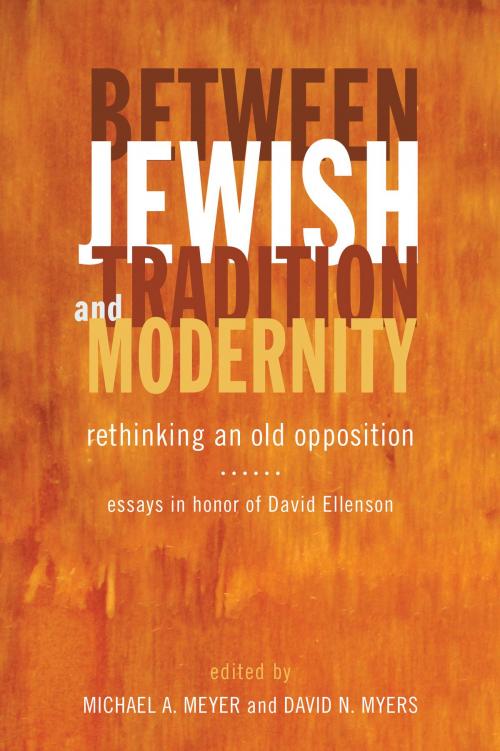 Cover of the book Between Jewish Tradition and Modernity by Michael A. Meyer, Wayne State University Press