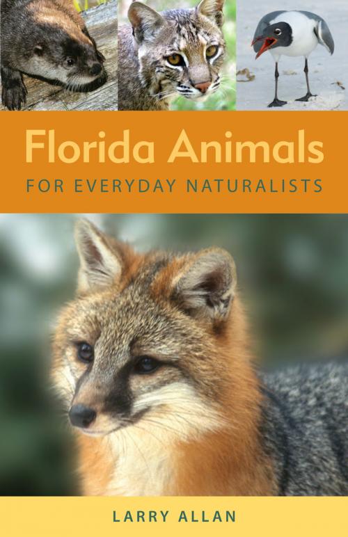 Cover of the book Florida Animals for Everyday Naturalists by Larry Allan, University Press of Florida