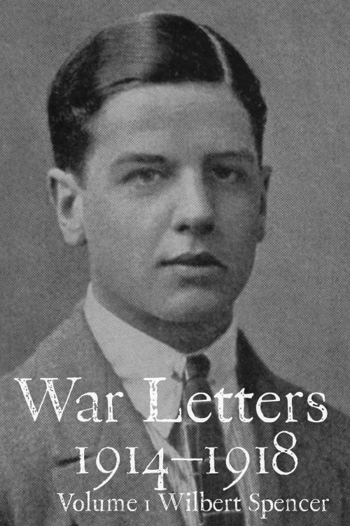 Cover of the book War Letters 1914-1918, Vol. 1 by Mark Tanner, warletters.net