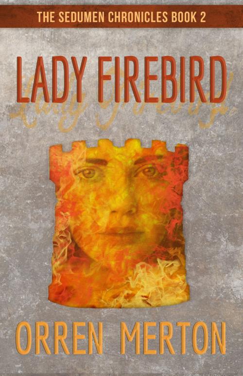 Cover of the book Lady Firebird by Orren Merton, Darkling Books