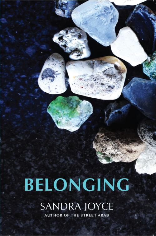 Cover of the book Belonging by Sandra Joyce, Welldone Publishing