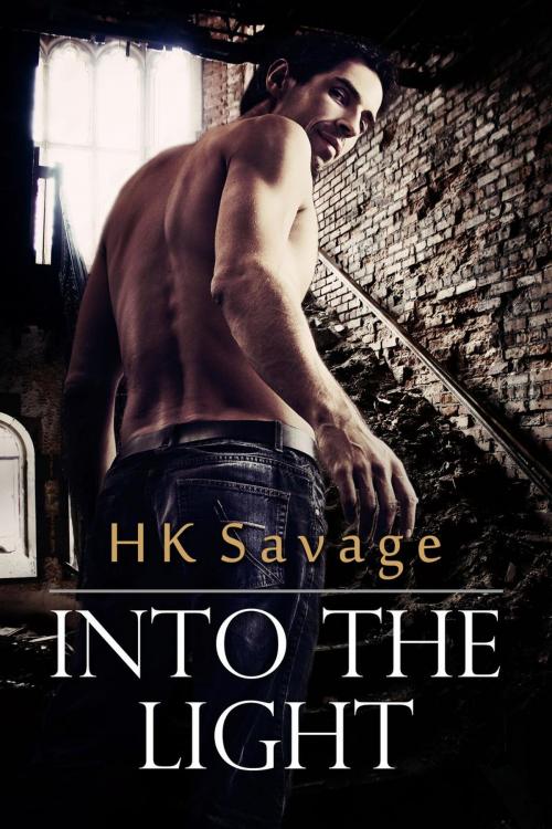 Cover of the book Into the Light by HK Savage, HK Savage