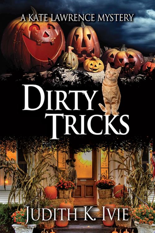 Cover of the book Dirty Tricks by Judith K. Ivie, Mainly Murder Press