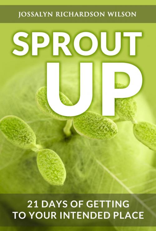 Cover of the book Sprout Up by Jossalyn R Wilson, Jossalyn Richardson Wilson