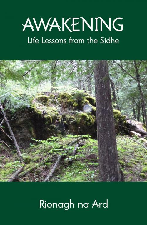 Cover of the book Awakening: Life Lessons from the Sidhe by Rionagh na Ard, RavenSidhe Publishing