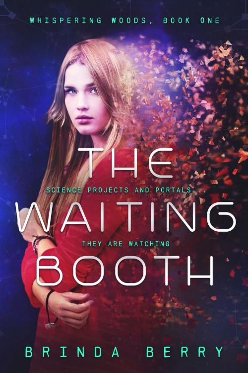 Cover of the book The Waiting Booth by Brinda Berry, Sweet Biscuit Publishing LLC