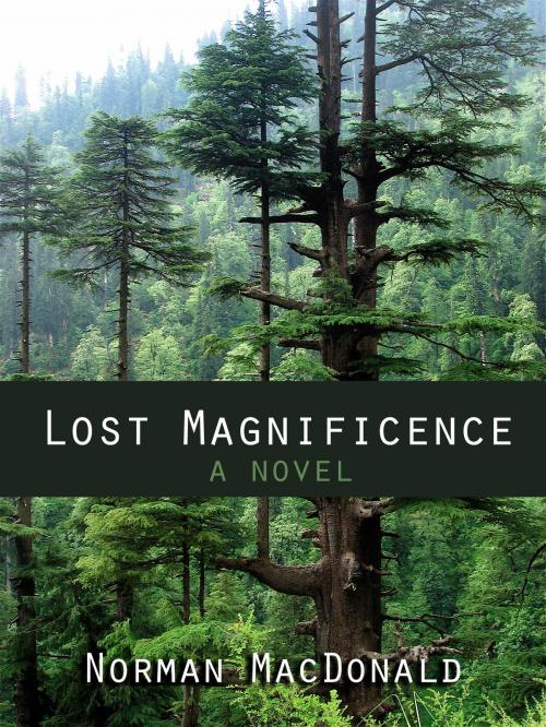 Cover of the book Lost Magnificence by Norman MacDonald, Trans Canada Press