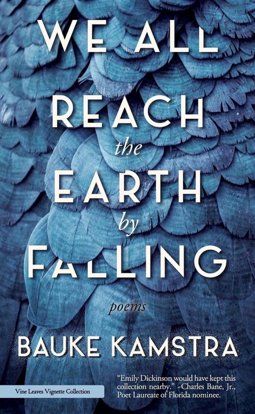 Cover of the book We All Reach the Earth by Falling by Bauke Kamstra, Vine Leaves Press
