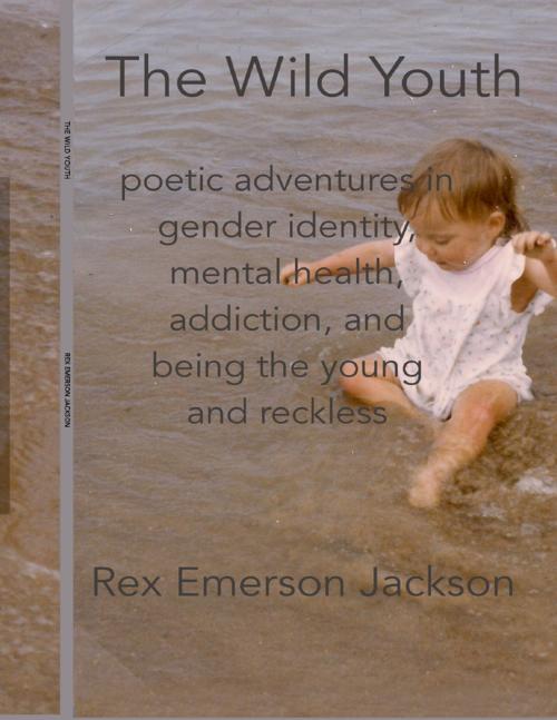 Cover of the book The Wild Youth by Rex Emerson Jackson, Rex Emerson Jackson