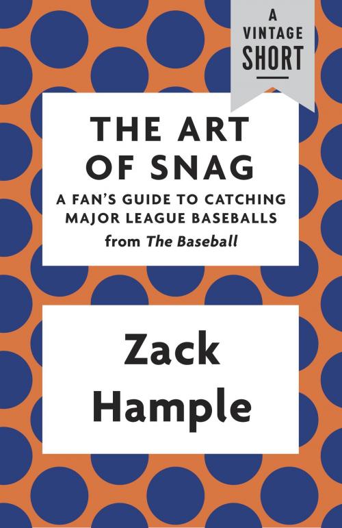 Cover of the book The Art of Snag by Zack Hample, Knopf Doubleday Publishing Group