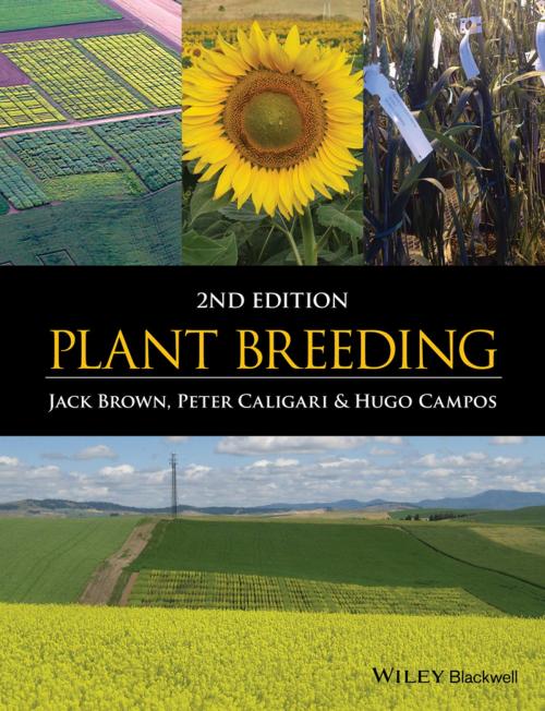 Cover of the book Plant Breeding by Jack Brown, Peter Caligari, Hugo Campos, Wiley