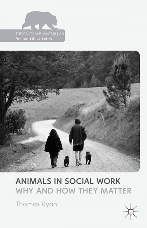Cover of the book Animals in Social Work by , Palgrave Macmillan UK