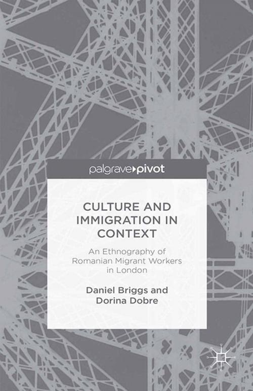 Cover of the book Culture and Immigration in Context by D. Briggs, D. Dobre, Palgrave Macmillan UK