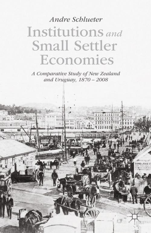 Cover of the book Institutions and Small Settler Economies by A. Schlueter, Palgrave Macmillan US