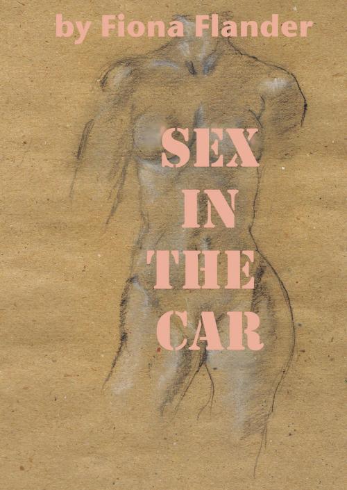 Cover of the book Sex In The Car by Fiona Flander, Purple Clothespin