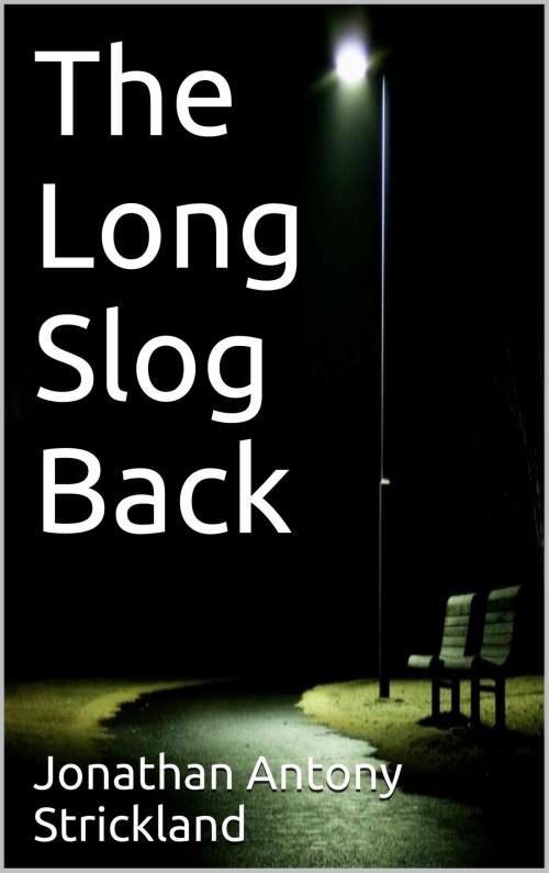 Cover of the book The Long Slog Back by Jonathan Antony Strickland, Jonathan Antony Strickland