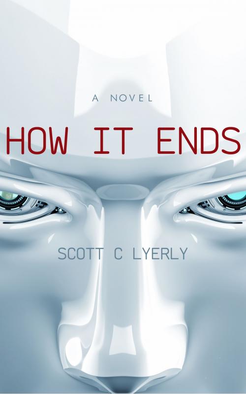 Cover of the book How It Ends: A Novel by Scott C Lyerly, Scott C Lyerly