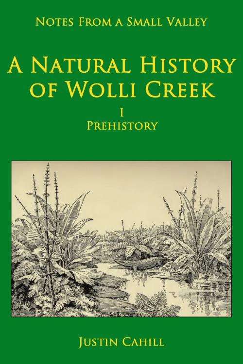 Cover of the book Notes from a Small Valley A Natural History of Wolli Creek I Prehistory by Justin Cahill, Justin Cahill