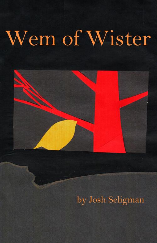 Cover of the book Wem of Wister by Josh Seligman, Josh Seligman