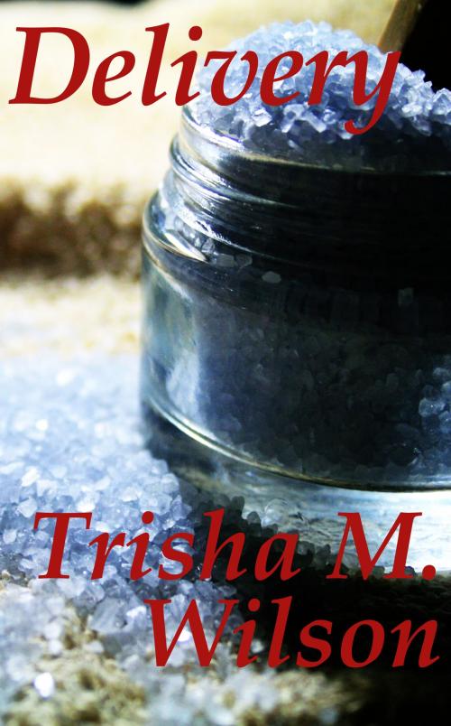 Cover of the book Delivery by Trisha M. Wilson, Trisha M. Wilson
