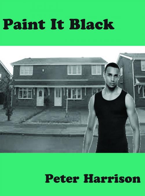 Cover of the book Paint It Black by Peter Harrison, Barny Books